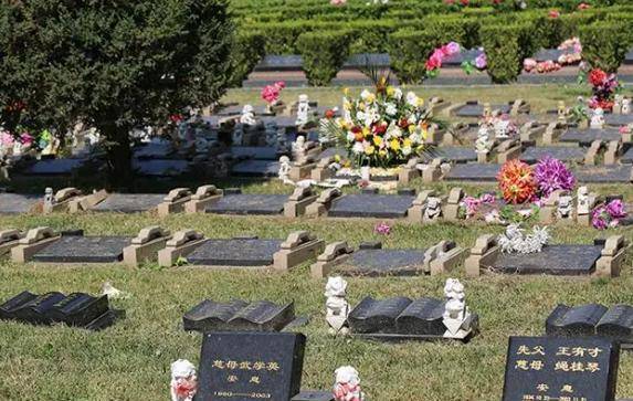 公墓期限只有20年,如果到期后子孙不续费,骨灰会被挖出来吗