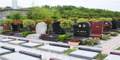 上海市崇明区价格实惠的公墓查询